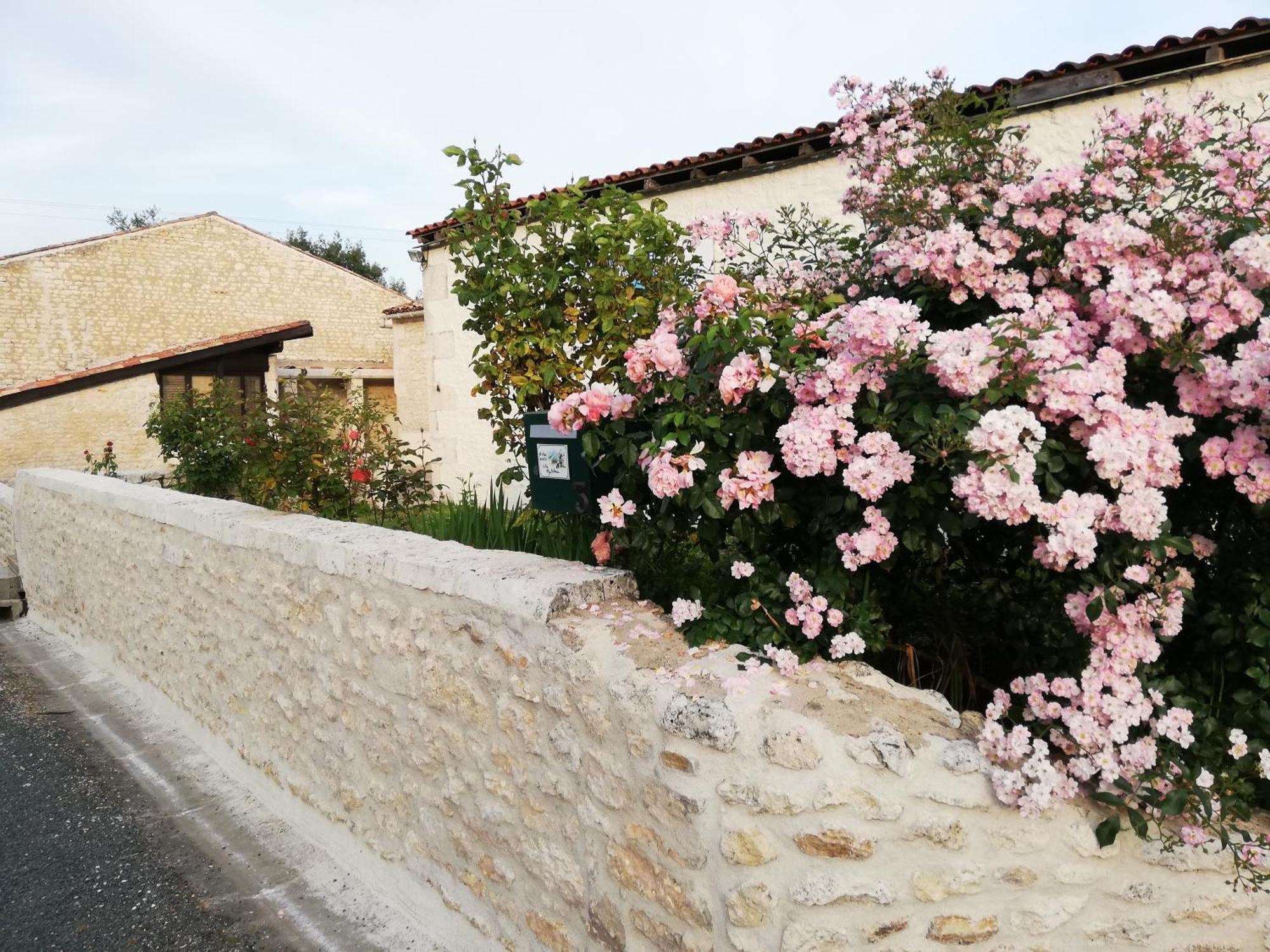 Gites Chez Belliveau Meursac Экстерьер фото
