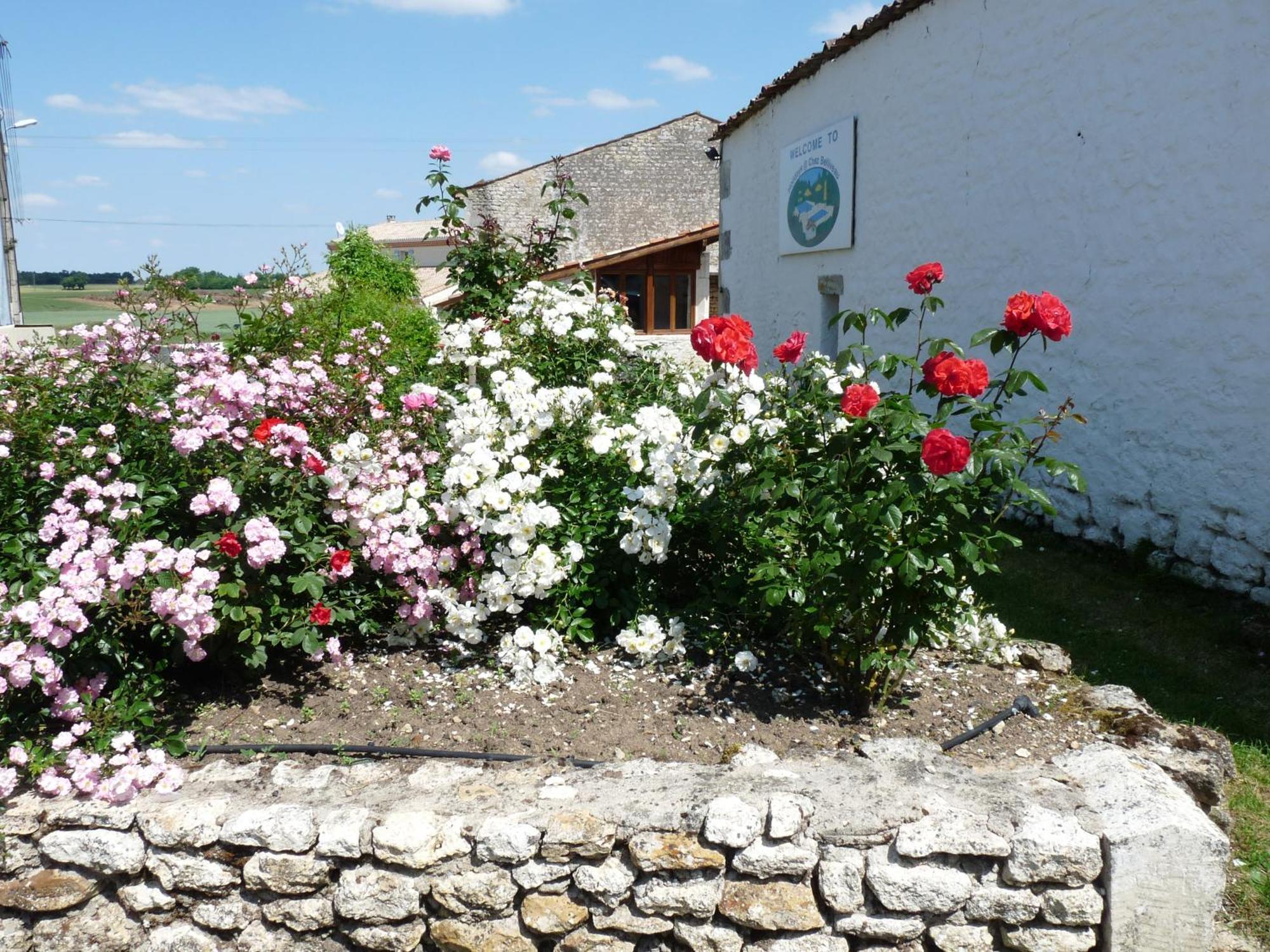 Gites Chez Belliveau Meursac Экстерьер фото