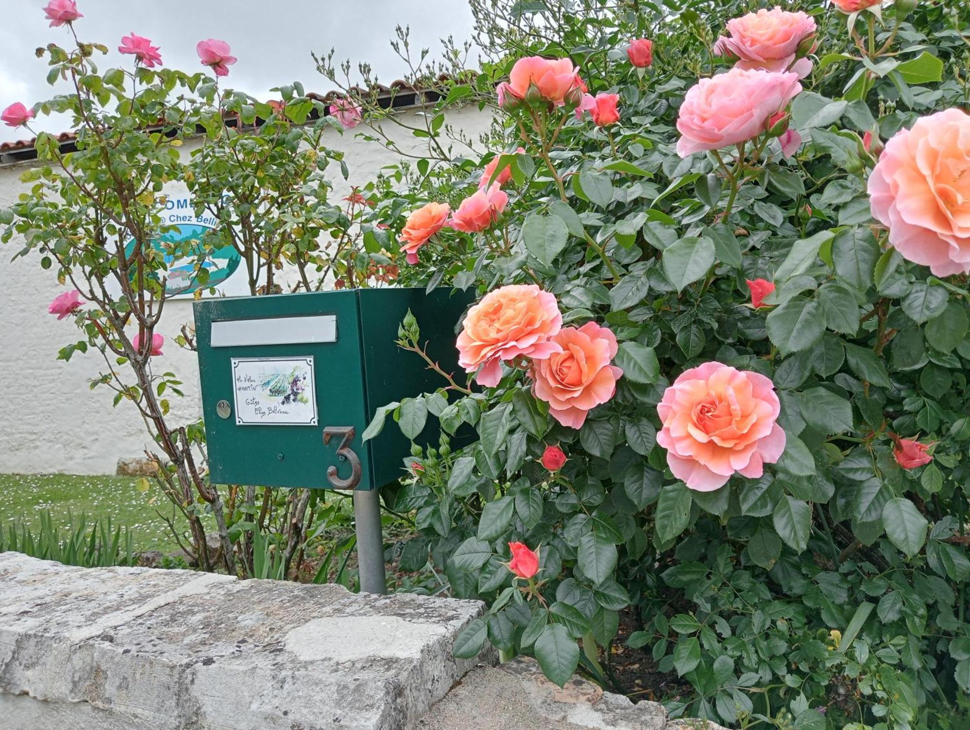 Gites Chez Belliveau Meursac Экстерьер фото